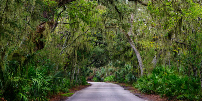Top Weekend Trips from St. Augustine