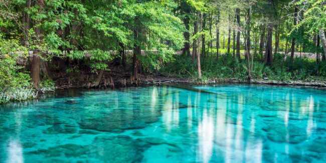 Top 10 Springs to Visit While Living in St. Augustine, Florida