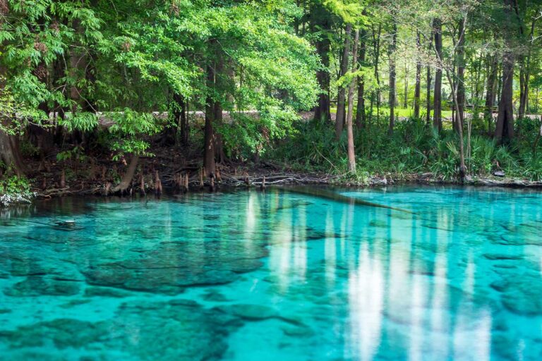 Top 10 Springs to Visit While Living in St. Augustine, Florida Top 10 Springs to Visit While Living in St. Augustine, Florida